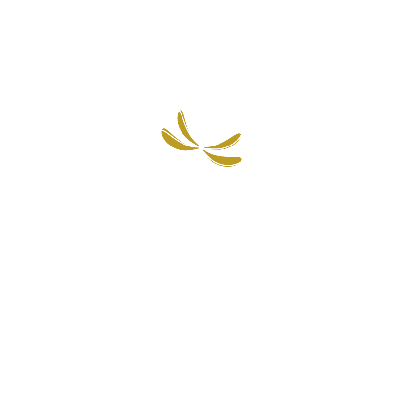 Logo Bron in jou